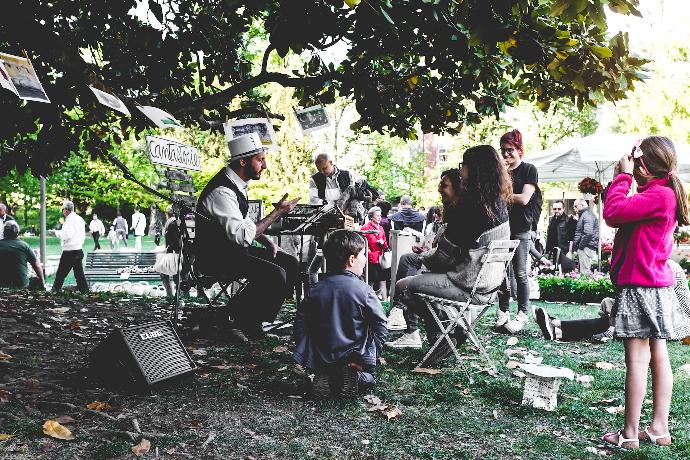 people sitting on chairs under tree during daytime